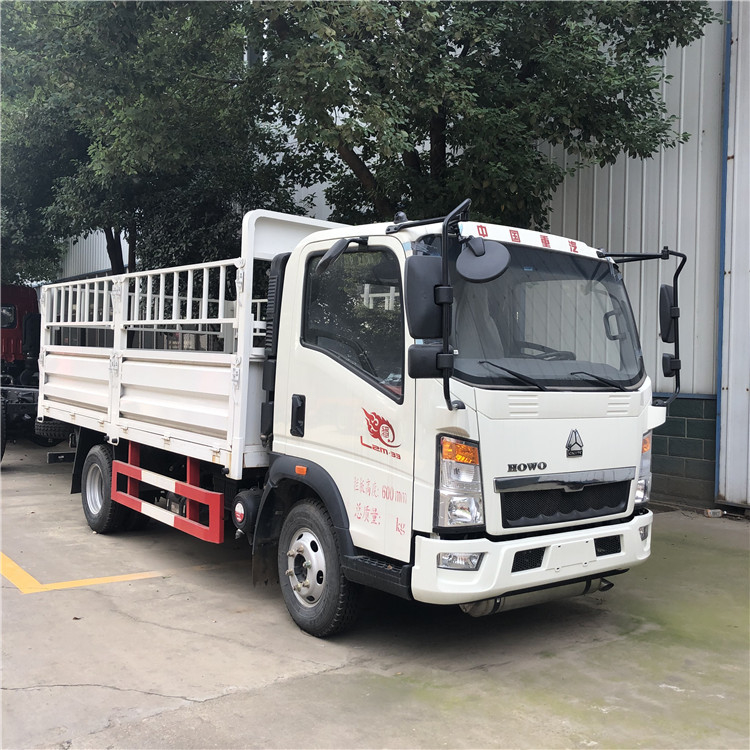Tipo 5 carico reale del combustibile diesel del camion 5000kg di Ton Small Lorry Truck Cargo