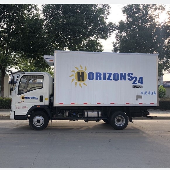 Sinotruk Howo Piccolo camion frigorifero 95km/h 130hp 5 tonnellate Mini camion frigorifero